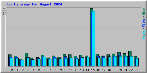 Hourly usage for August 2024